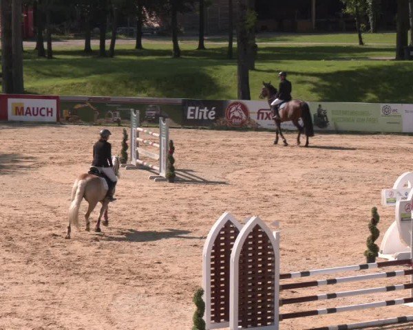 Reitturnier Stadl-Paura 2024