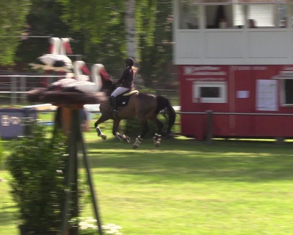 Reitturnier Hille 2024