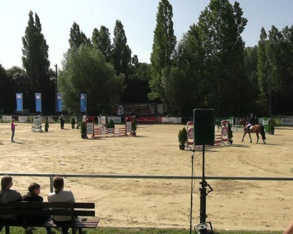 Reitturnier Oelde 2024