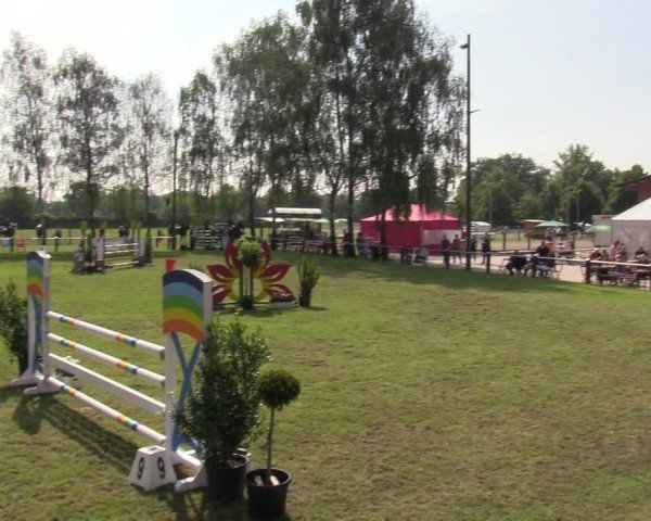 Reitturnier Hille 2024