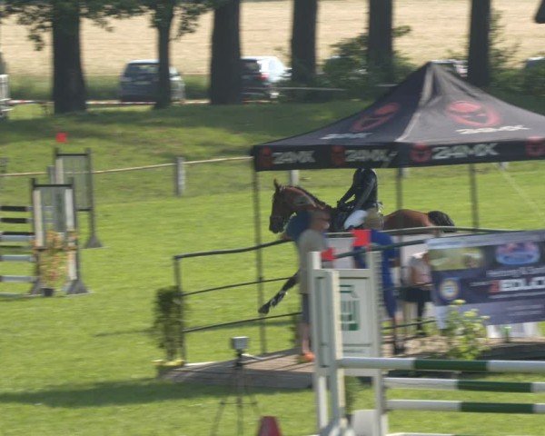 Reitturnier Sonnewalde 2024