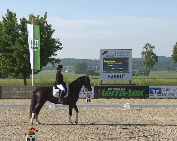 Reitturnier Rot am See- Musdorf 2024