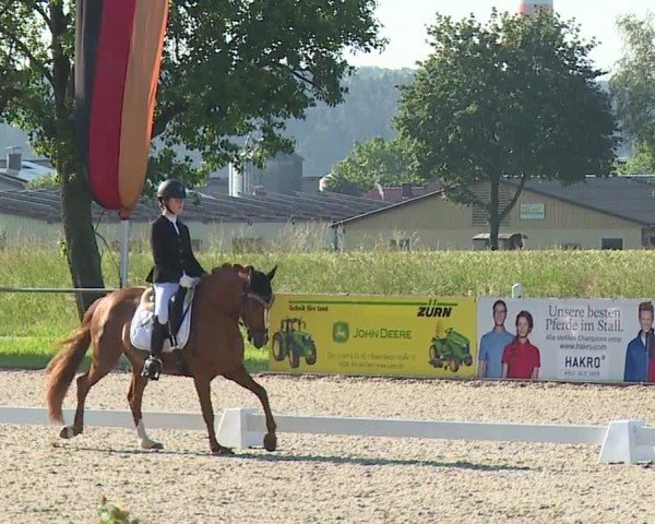Reitturnier Rot am See- Musdorf 2024