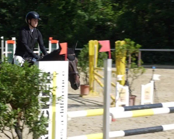 Reitturnier Winnenden 2024