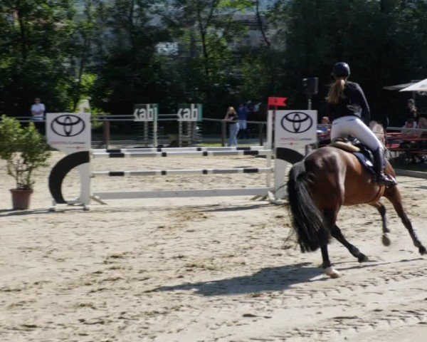 Reitturnier Winnenden 2024