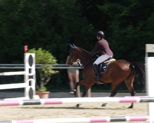 Reitturnier Winnenden 2024