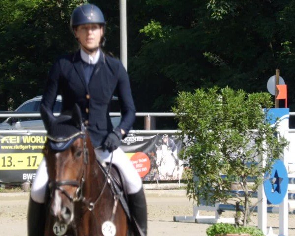 Reitturnier Winnenden 2024