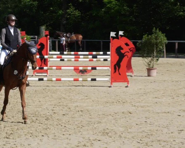 Reitturnier Winnenden 2024