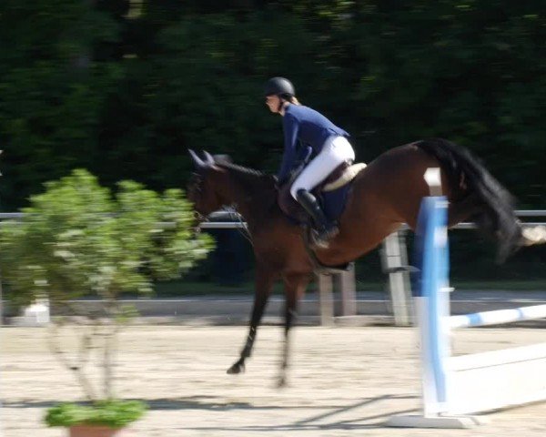 Reitturnier Winnenden 2024