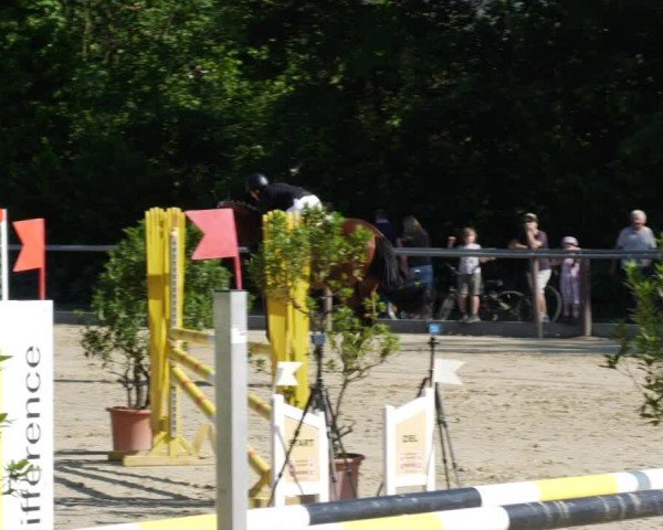 Reitturnier Winnenden 2024