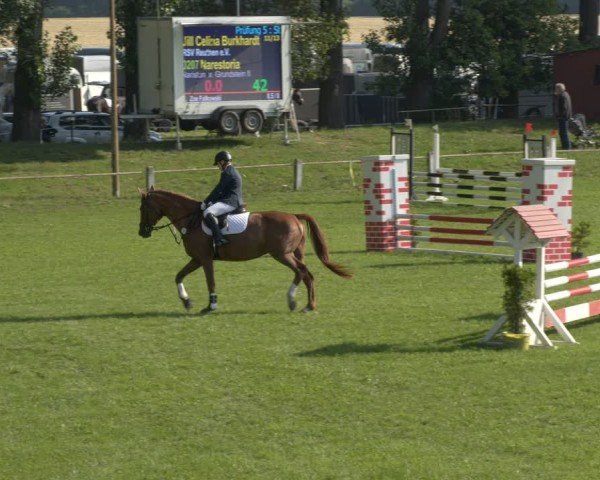 Reitturnier Sonnewalde 2024
