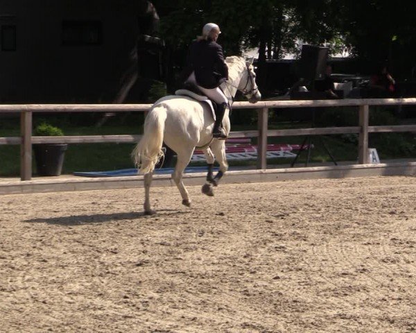 Reitturnier Ruhlsdorf 2024