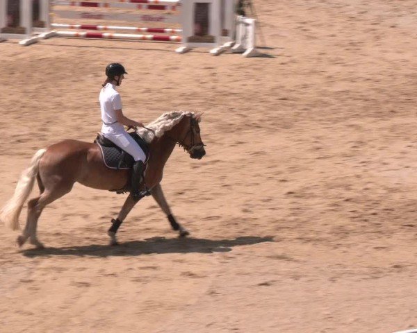 Reitturnier Stadl-Paura 2024