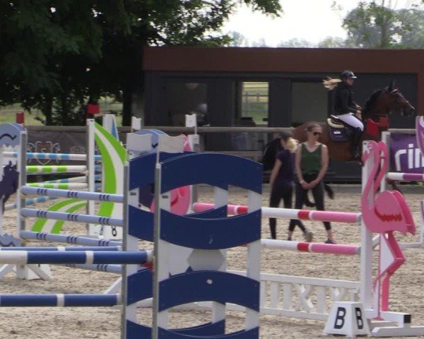 Reitturnier Ruhlsdorf 2024