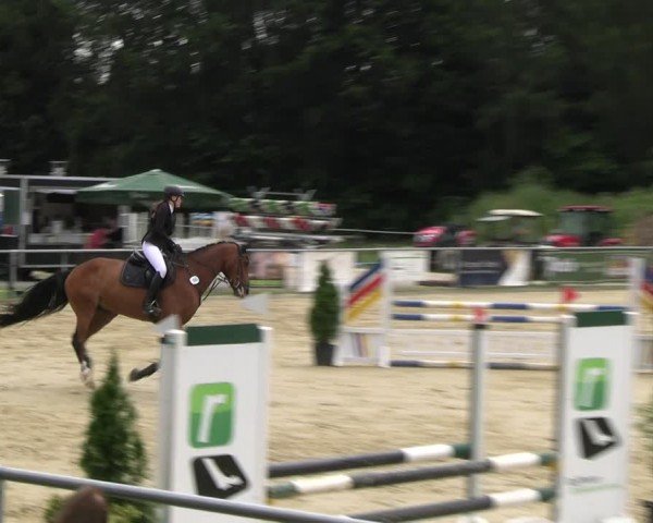 Reitturnier Oelde 2024