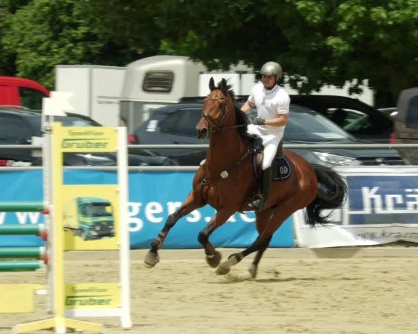 Reitturnier Winnenden 2024