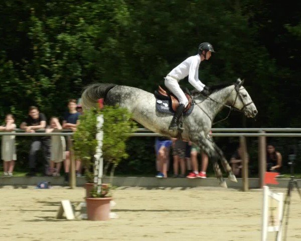 Reitturnier Winnenden 2024
