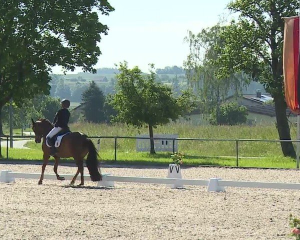 Reitturnier Rot am See- Musdorf 2024