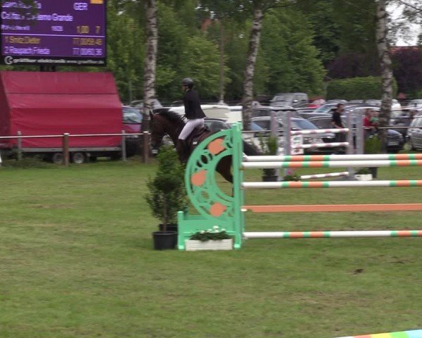 Reitturnier Hille 2024