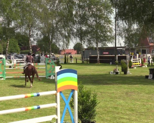 Reitturnier Hille 2024