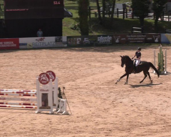 Reitturnier Stadl-Paura 2024