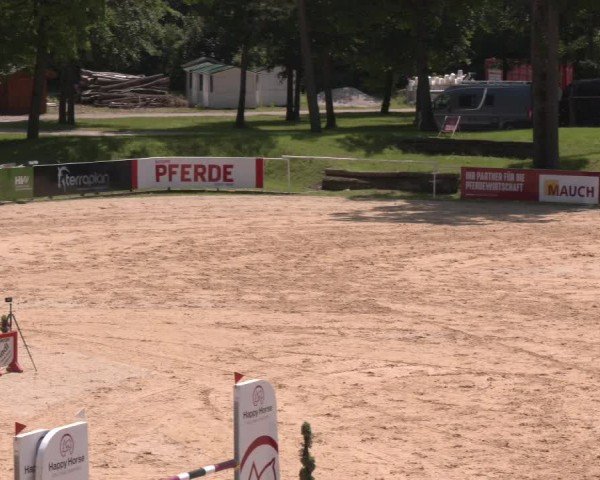 Reitturnier Stadl-Paura 2024