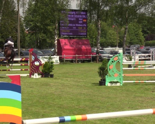 Reitturnier Hille 2024