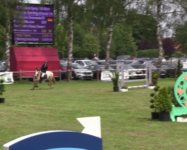 Reitturnier Hille 2024