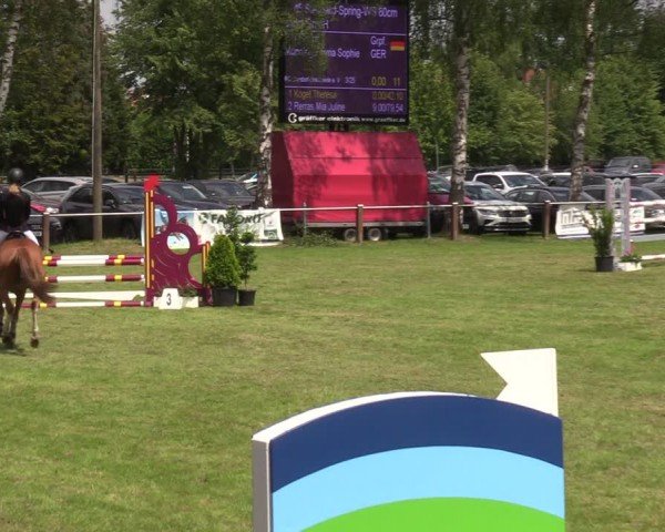 Reitturnier Hille 2024