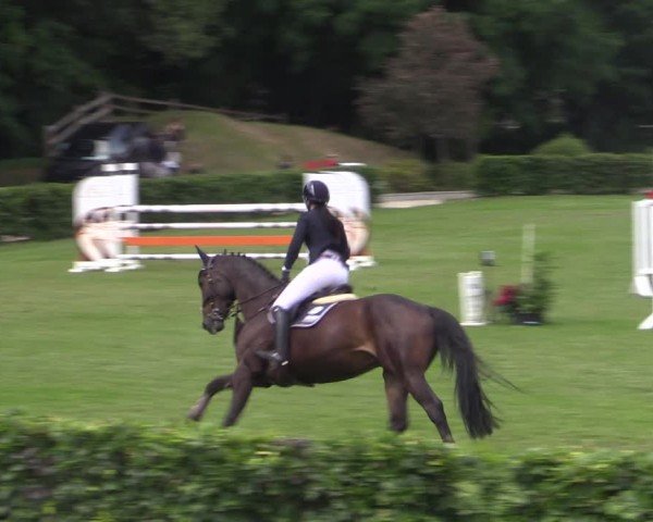 Reitturnier Ruhlsdorf 2024