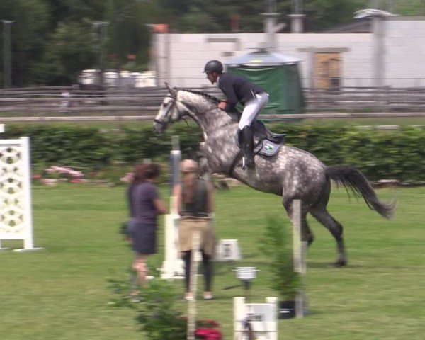 Reitturnier Ruhlsdorf 2024