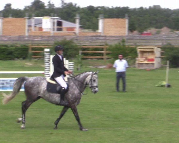 Reitturnier Ruhlsdorf 2024