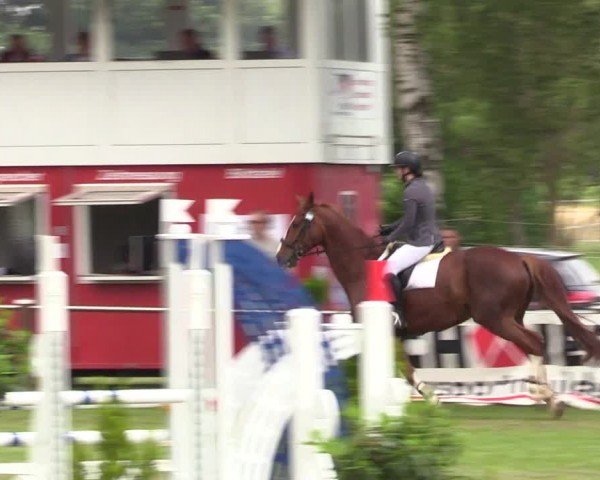 Reitturnier Hille 2024