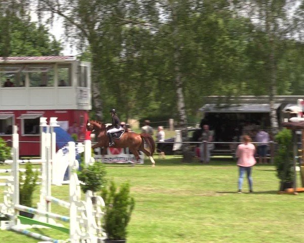 Reitturnier Hille 2024