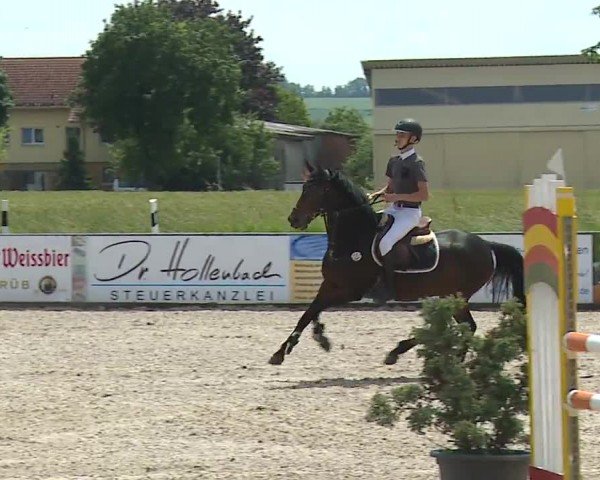 Reitturnier Rot am See- Musdorf 2024