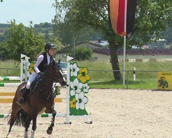 Reitturnier Rot am See- Musdorf 2024