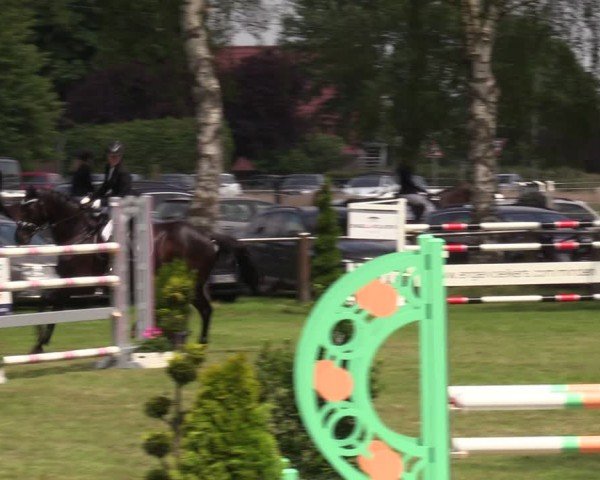 Reitturnier Hille 2024