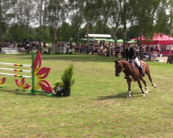 Reitturnier Hille 2024