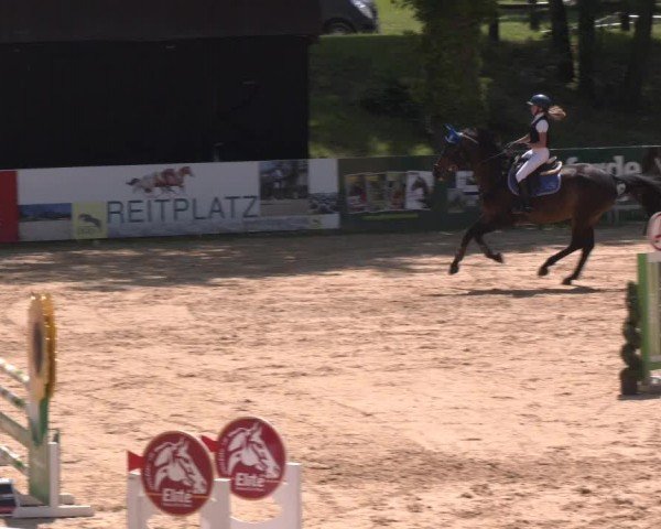Reitturnier Stadl-Paura 2024