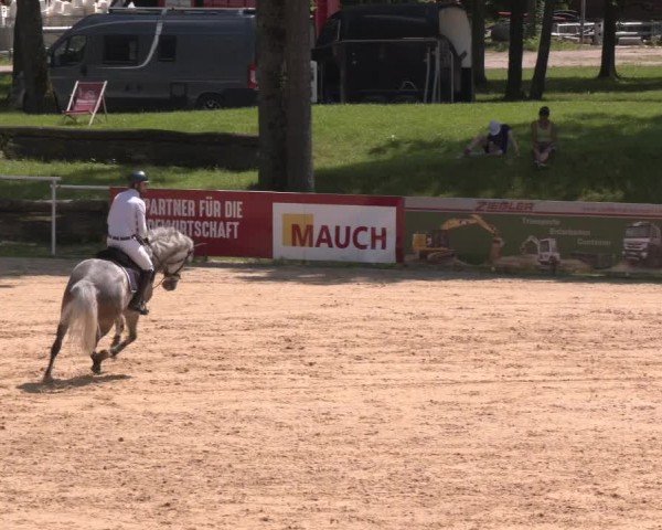 Reitturnier Stadl-Paura 2024