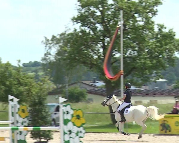Reitturnier Rot am See- Musdorf 2024