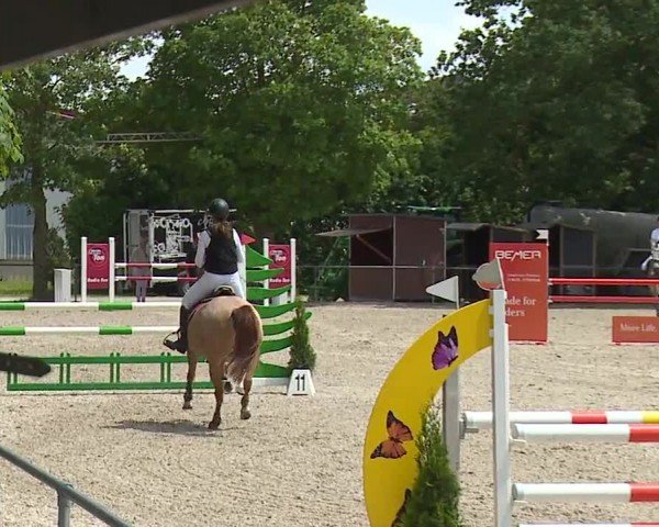 Reitturnier Rot am See- Musdorf 2024