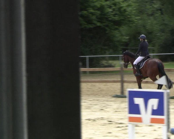 Reitturnier Oelde 2024