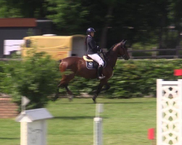 Reitturnier Ruhlsdorf 2024