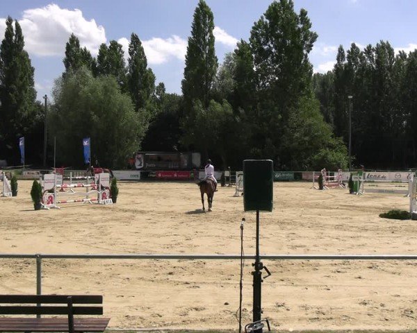 Reitturnier Oelde 2024