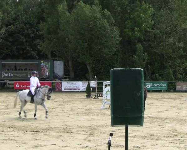 Reitturnier Oelde 2024