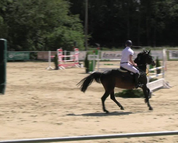Reitturnier Oelde 2024