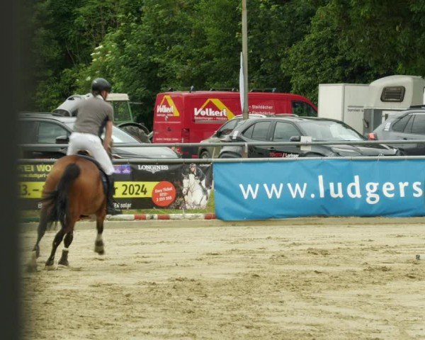 Reitturnier Winnenden 2024