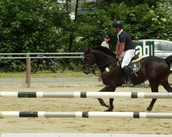 Reitturnier Winnenden 2024