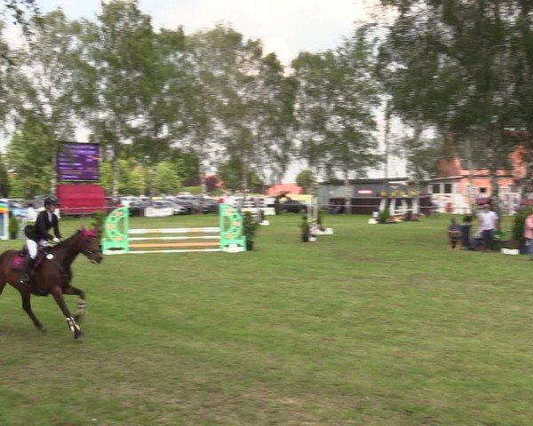 Reitturnier Hille 2024